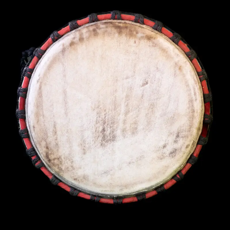 Djembe Drum (Horse)